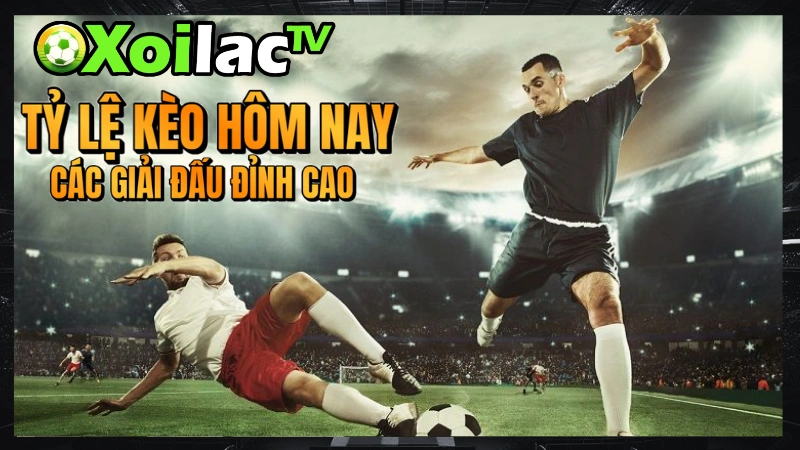 Tỷ lệ kèo hôm nay gồm các giải đấu đỉnh cao